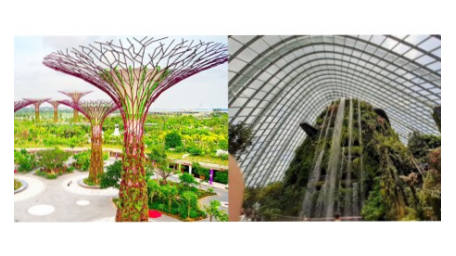 7.12以后 滨海湾花园  云雾林+擎天树观景台 或者 OCBC走道 成人票 Cloud Forest  + SuperTree Observatory OR ocbc skyway成人票 ADULT 