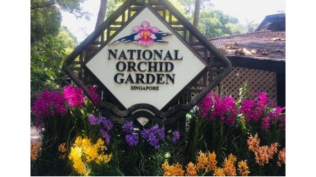 新加坡植物园国家胡姬花园门票 National Orchid Garden 成人票 Adult (Open) 