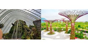 7.12以后 滨海湾花园  云雾林+擎天树观景台或者 ocbc走道  儿童票  Cloud Forest  + SuperTree Observatory OR ocbc skyway  儿童票 Child