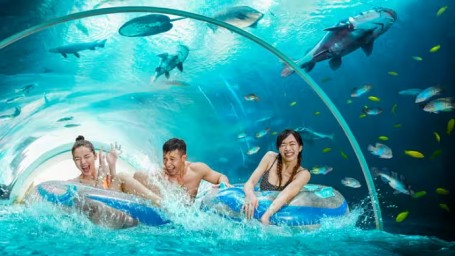 新加坡【水上探险乐园】Adventure Cove Waterpark - Child 儿童票 电子票 