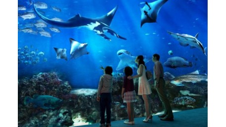 新加坡 SEA Aquarium海洋馆成人票 Adult 电子门票  